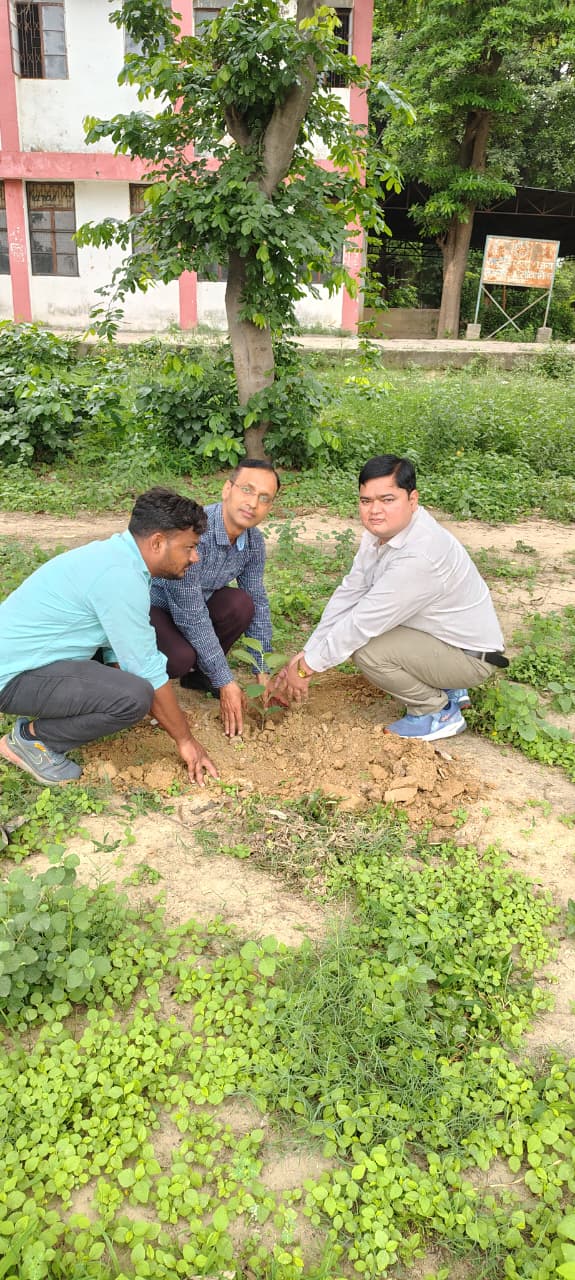 वृक्षारोपण महाभियान-2025